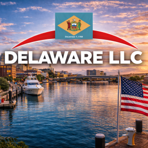Delaware LLC (USA)